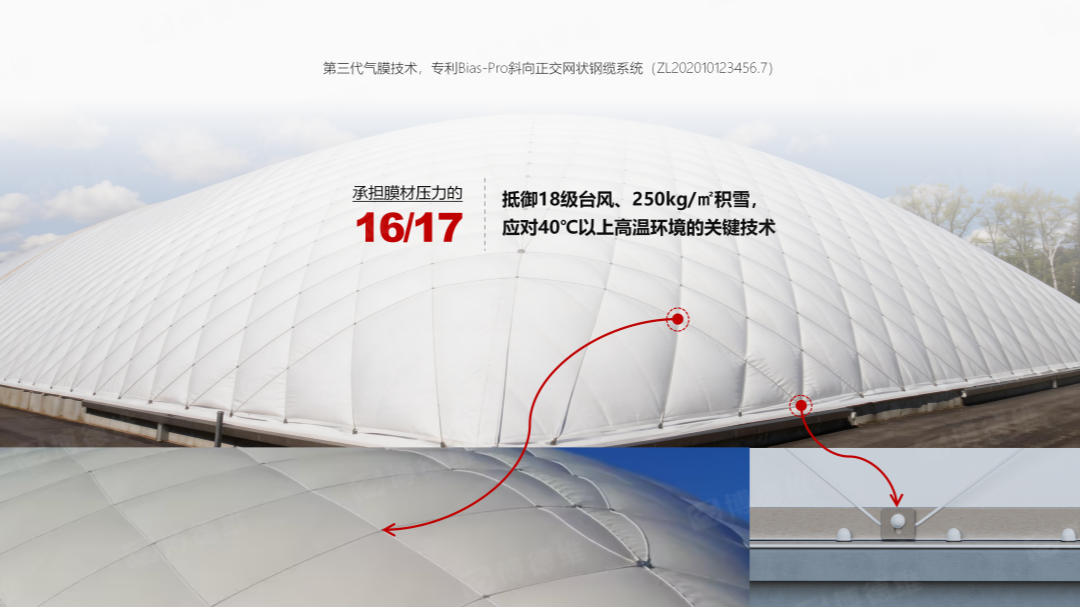 优发国际Bias-Pro斜向网状钢缆.png